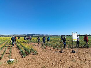 2023, Waga Waga/Australia, Field trip 16thIRC