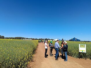 2023, Waga Waga/Australia, Field trip 16thIRC