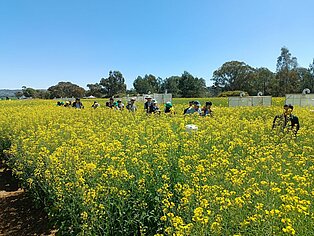 2023, Waga Waga/Australia, Field trip 16thIRC